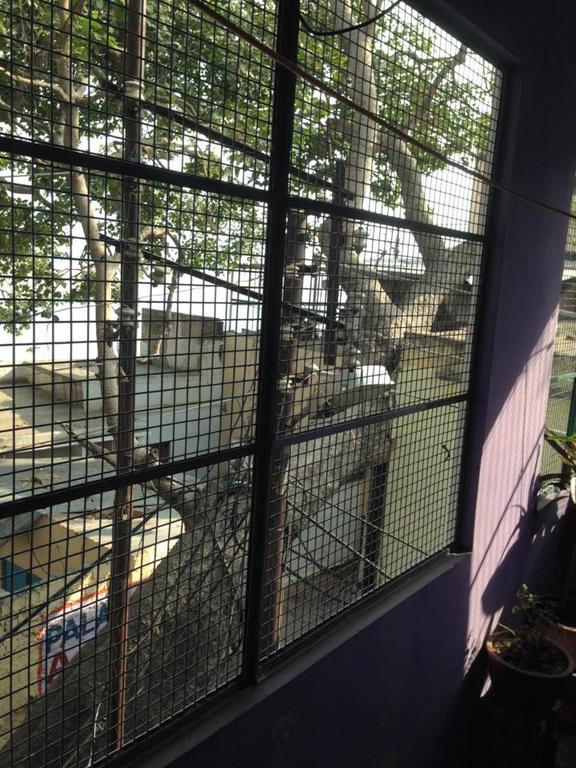 Paradise Inn Guest House Varanasi Zimmer foto